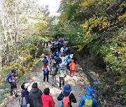 하동군, '2022년 지리산 회남재 숲길 걷기' 행사 개최