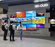 "삼성디스플레이, QD-OLED  수율 85% 달성하며 역량 입증"