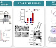 건국대 조쌍구 교수팀, '15분 내' 줄기세포 유래 초고순도 세포외소포체 대량 생산 기술 개발