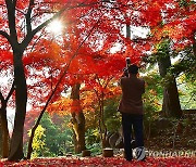 평양의 가을 풍경