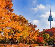 단풍의 색깔 [우리말 톺아보기]