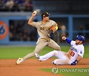 김하성 골든 글러브 수상 여부, 감독과 코치에 달려 있어..한국계 에드먼은 2개 포지션 후보에 올라