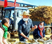 마스크 쓰고..곡식 수확 마친 북한 황해남도 주민들