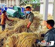 북한, 각지 수확 성과 조명.."일손 다그치는 농업근로자들"