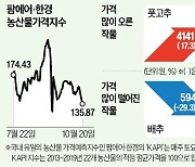 "올해 김장 배추 걱정 줄었네"…호남산 출하 앞두고 가격 뚝