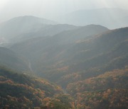 팔공산, 23번째 국립공원 될까..전략환경영향평가 추진