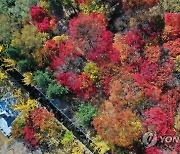 팔공산 국립공원 지정 환경영향평가 추진..절차 본격화