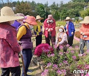 서울시농업기술센터 내달 2~11일 '치유농업프로그램' 진행