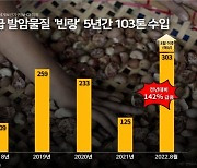 중국서 금지된 발암물질 열매 '빈랑'..국내 5년간 103톤 수입