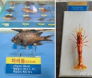 국립수산과학원, 독도의날 기념 25일 해양생물 전시회