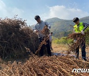 이웃도 돕고 우애도 다지고..음성군 생산적 일손봉사 '눈길'