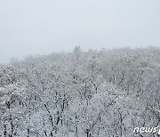 오대산 노인봉에 내린 눈