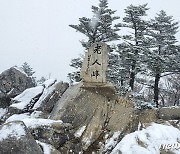 설국으로 변한 오대산