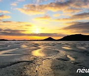 "갯벌 세계자연유산 보전본부 최적지는 전남 신안"