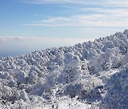 한라산 입산시간 30분~2시간 단축..11월 1일부터 내년 2월까지