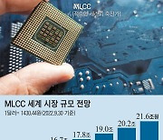 [김정호의 AI시대의 전략] '디지털 재난' 막을 MLCC 놓고 한·일 패권경쟁 치열