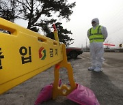 인천 이어 경기도, 야생조류 고병원성 AI 검출..방역 강화