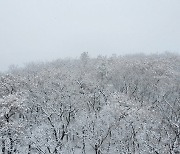 평창 오대산 노인봉에 첫눈 5cm 쌓여.. 강원산지 대설주의보 해제