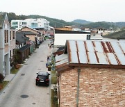 담양군, 담빛담루서 28∼29일 맥주축제