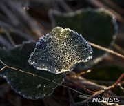 경기남부 출근길 기온 5도 이하 '뚝'..바람도 쌀쌀