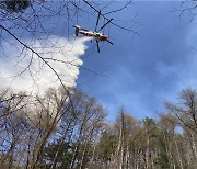 공주시, 12월15일까지 산불방지 비상체계 가동