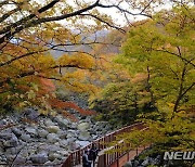 제주 한라산 단풍 절정..지난해보다 9일 일러