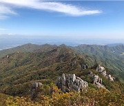 팔공산 23번째 국립공원 되나..전략환경영향평가 추진