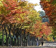 [오늘의 날씨] 울산(25일, 화)..최저 6도, 맑고 쌀쌀