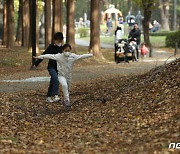 [오늘의 날씨]대전·충남(25일, 화).. 대체로 맑음, 아침기온 1도