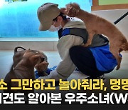 우주소녀도 함께한 블루엔젤봉사단…"사랑으로 입양해 주세요"