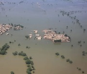 COP27의 주요 의제 '손실과 피해 배상'은 어떻게 30년동안 '뒷전'이 됐나