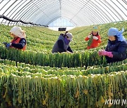 양구군 "특산물 맛집만들기 지원하다".. 컨설팅 진행