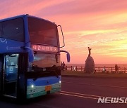 천만 관광객 오는데..수억 보조 제주시티투어버스 탑승률은 저조