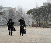 진안군, 11월14일까지 겨울철 자연재난 사전대비 운영