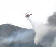 경남도, 내년 5월 15일까지 '산불방지대책본부' 가동