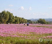 맑은 가을날..강원 영동·경상권 동해안 오전에 약한 비