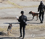 소방청 항공기 사고 합동 수색 구조훈련서 인명 수색하는 구조견