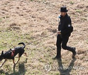 소방청 항공기 사고 합동 수색 구조훈련서 인명 수색하는 구조견