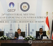 EGYPT ENERGY GECF