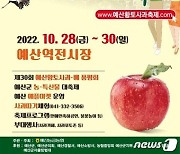 예산서 28~30일 황토사과축제..문화공연‧수확체험 등 행사 다채