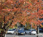 [오늘의 날씨]대구·경북(26일, 수)..낮부터 기온 올라 최고 17~20도