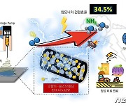 탄소 배출 없는 '그린 암모니아' 생산공정 개발