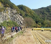 '가을따라 숲길따라' 내달 5일 속리산둘레길 걷기축제