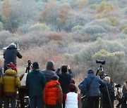 만추의 계절, '비밀의 정원' 카메라에 담다