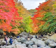 제주, 평년 기온 회복 낮 최고 20~21도..낮까지 빗방울