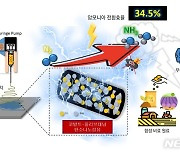 지스트, 탄소배출 없이 '그린 암모니아'  생산하는 촉매 기술 개발