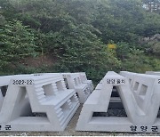 양양군, 물치리 연안에 '문어 서식 산란장' 조성