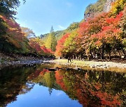 [뉴시스 앵글] 순창 강천산군립공원, 오는 주말 단풍 절정