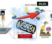 탄소배출 없이 암모니아 생산..GIST 연구진, 촉매기술 개발