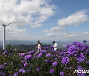 [오늘의 날씨]부산·경남(27일, 목)…어제보다 '따뜻', 낮부터 맑음